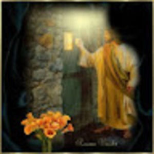 Meet your Posher, Elsy